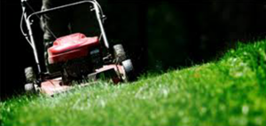 Lawn mowing & Landscaping
